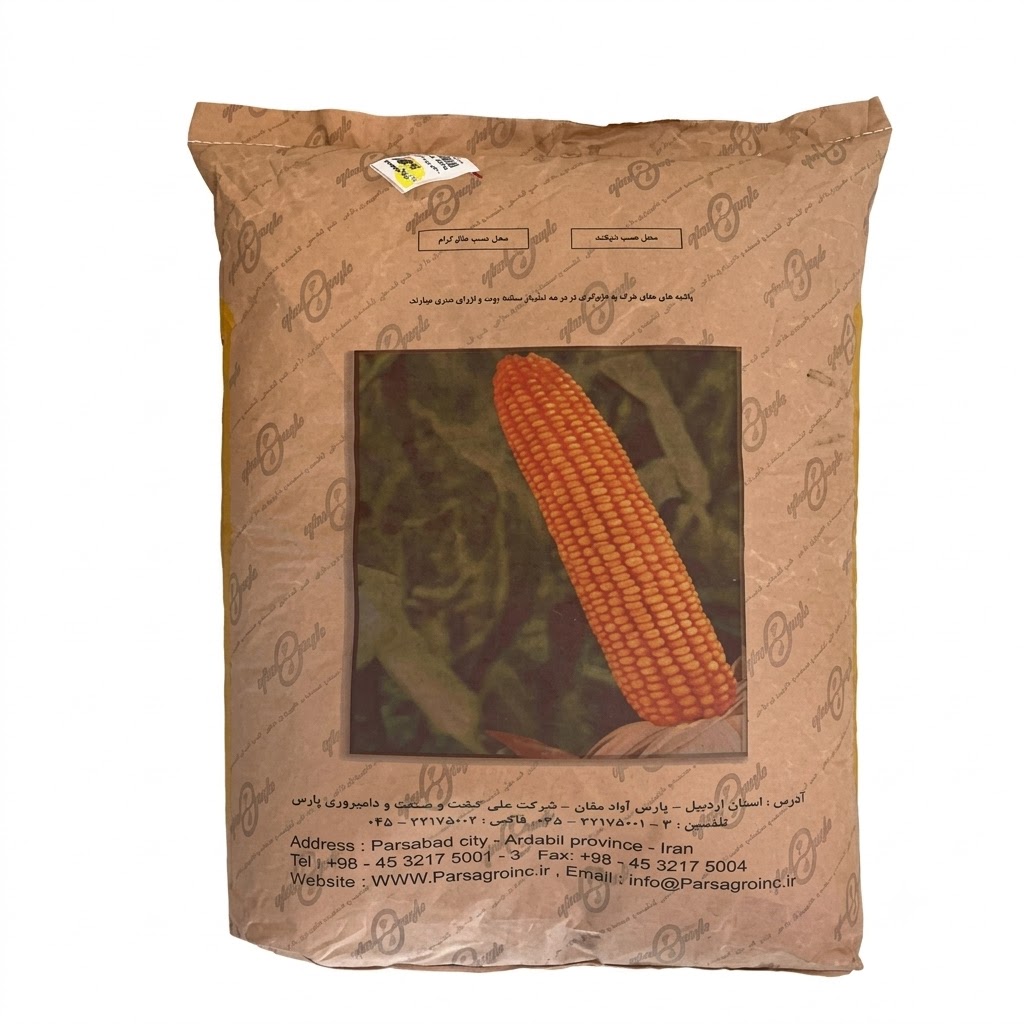بذر ذرت 704 پارس مغان