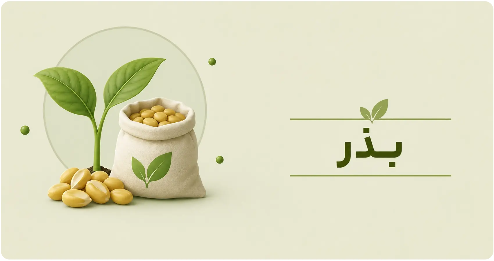 بذرهای کشاورزی
